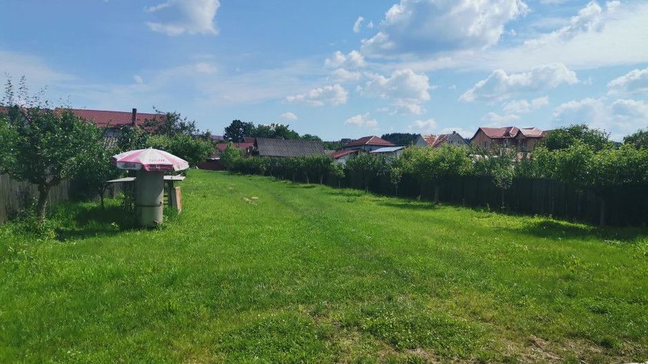 Inchiriere hala depozitare si teren, Labusesti - Poză 7