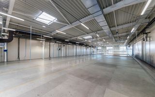 Hala Productie | 3.447 mp | 6904 mp teren | Randament ~9% | Sanandrei-Timis - Poză 7