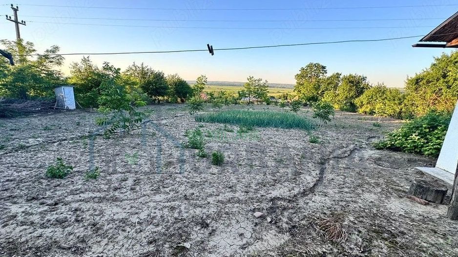 Casă de vânzare în Scoposeni, com. Gorban – 2700 mp teren, 3 construcții, livadă de nuci - Poză 3