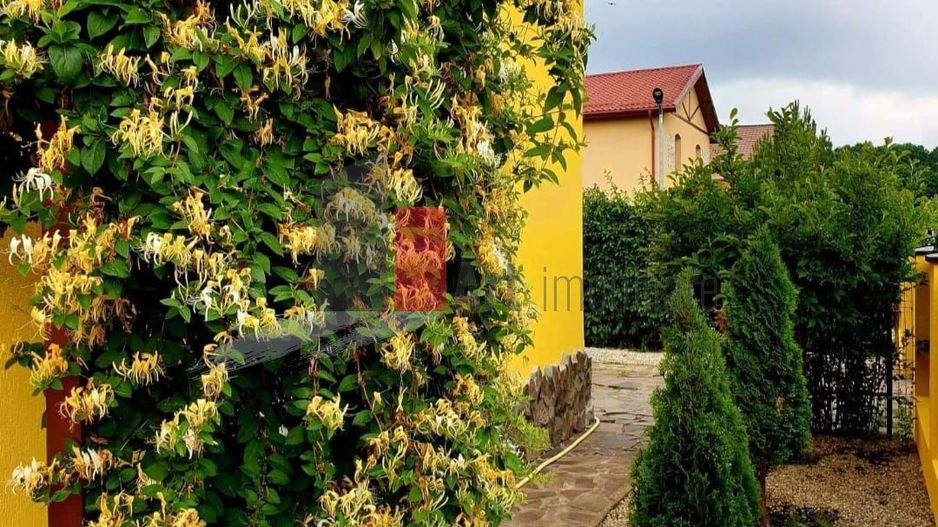 Vila superba cu gradina si panouri solare | Tancabesti - Poză 3