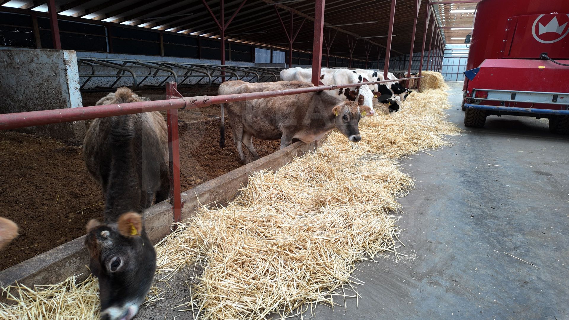 Vânzare, spațiu industrial, Raionul Glodeni, Satul Hîjdieni - Poză 2