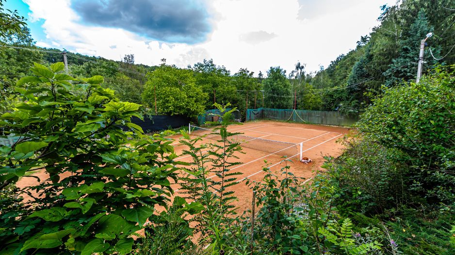 PROPRIETATE VÂNDUTĂ Casă conac cu 15.000 mp deal împădurit la Barațca, - Poză 7