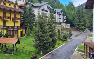 Casa ta de vacanta, imbratisata de natura,3 terase, parcare, Poiana Brasov - Poză 20