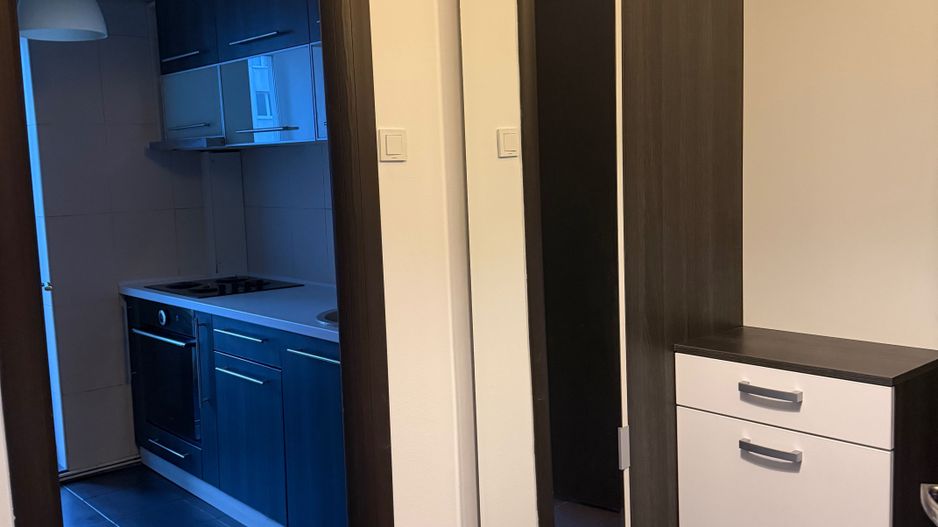 Vanzare Apartament 2 camere in Titan - Nicolae Grigorescu - Poză 8