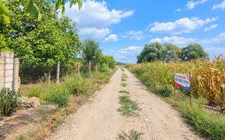 TEREN PENTRU GRĂDINI – 12 ARI | FLORENI, ANENII NOI - Poză 5