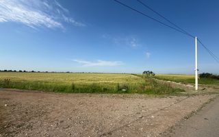 Teren 10 hectare pretabil pt panouri solare-Aricesti Rahtivani - Poză 1