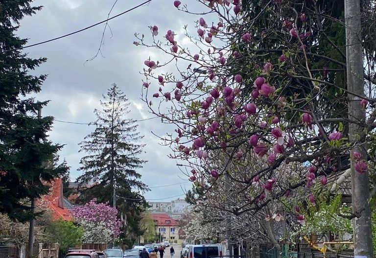 Apartament in vila Rond Alba Iulia/Baba Novac - Poză 1