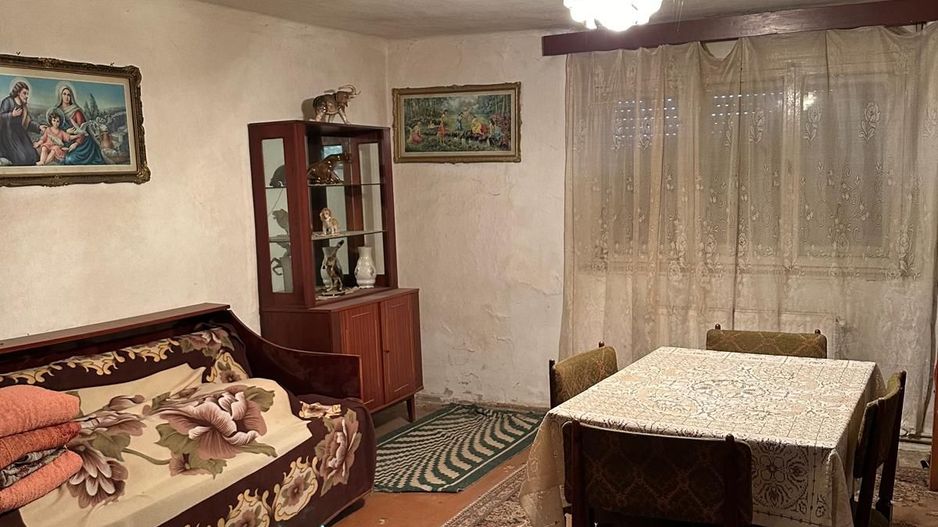 Casa de vanzare Variasu Mare- pret redus- 34.700 euro - Poză 7