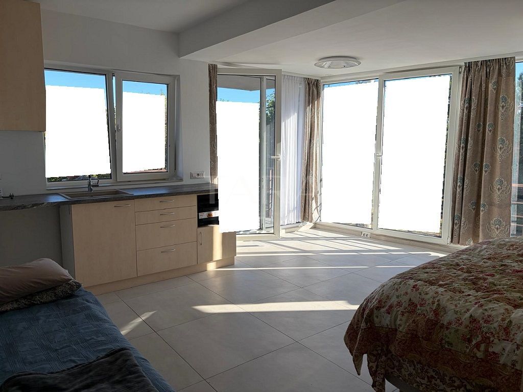 Apartament 1 cameră de închiriat – Gruia - Poză 2