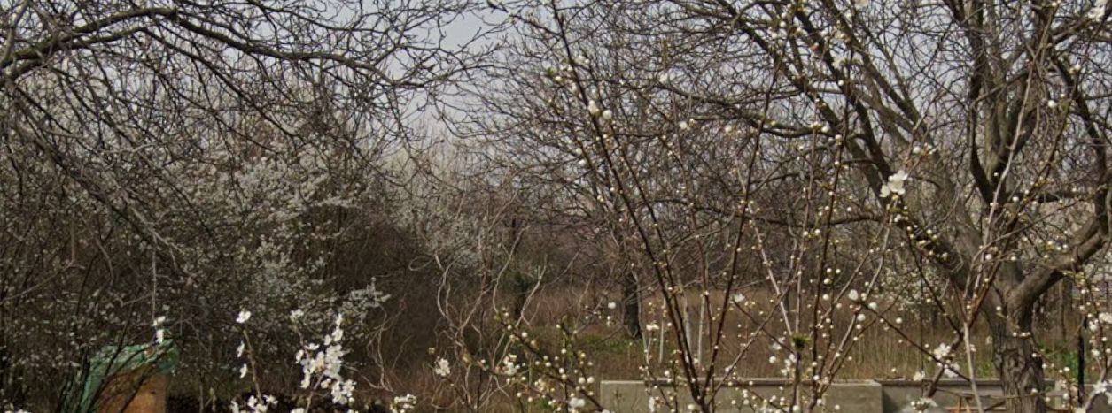 Teren 2,000mp Prelungirea Ferentari - Poză 3