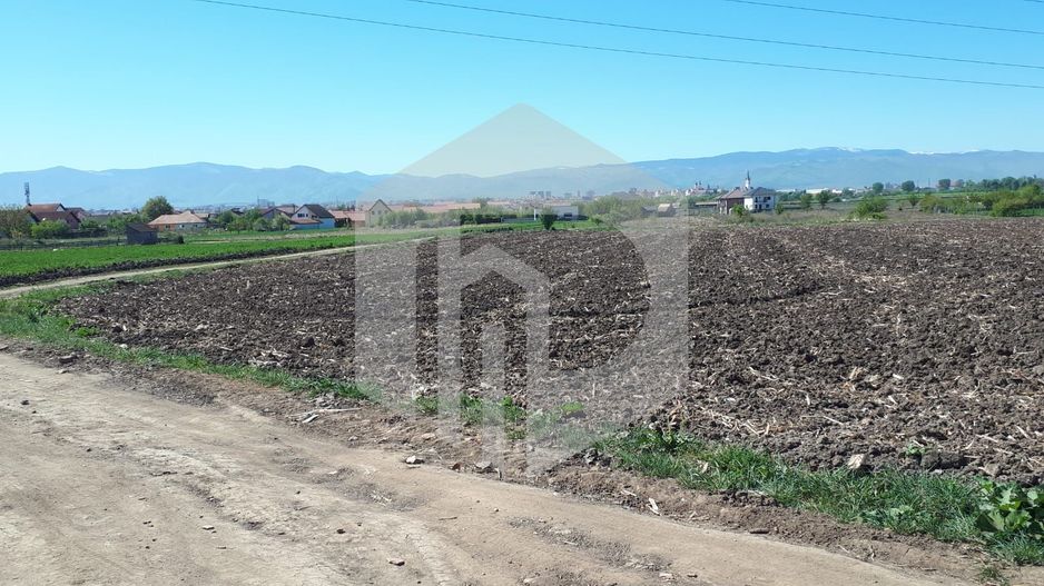 Teren de Vanzare - Extravilan - 23.300mp - Gusterita - 0% Comision - Poză 5