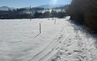 Teren Bran Tohanita | Intravilan 1.379 mp | Vedere Panoramică| - Poză 18
