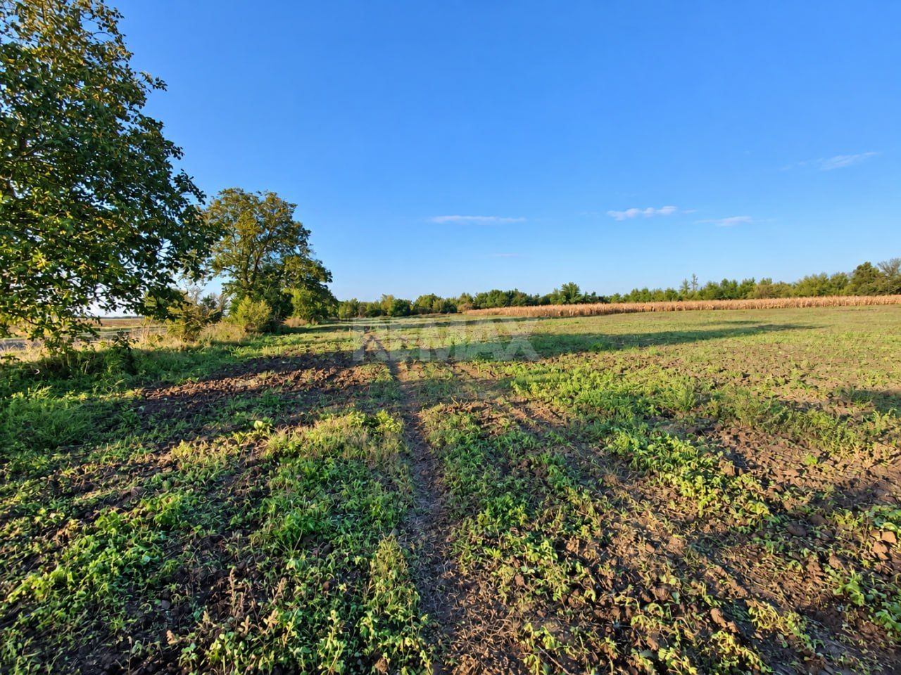 4,85 HA CU DESCHIDERE DE 300 M LA TRASEU | CRIULENI – SLOBOZIA-DUȘCA - Poză 6