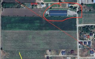 Hala 1.533 mp cu teren 5.000 mp – Vanatori, zona Maylo - Poză 3