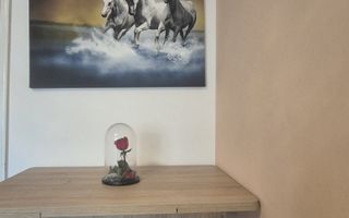 Exclusivitate - apartament cu 2 camere în Centru Civic - Poză 8