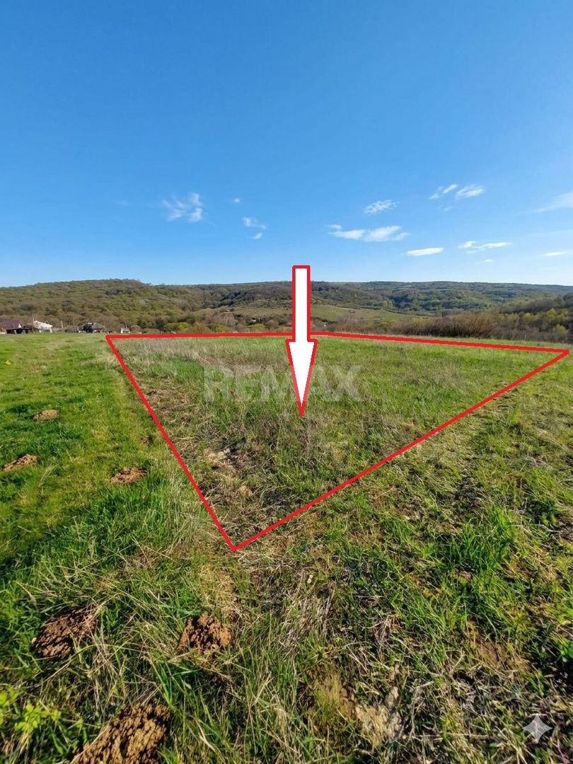 Tabăra/Orhei | 11,62 ari | Teren în inima Codrilor – Ideal pentru evadare în natură sau investiție - Poză 1