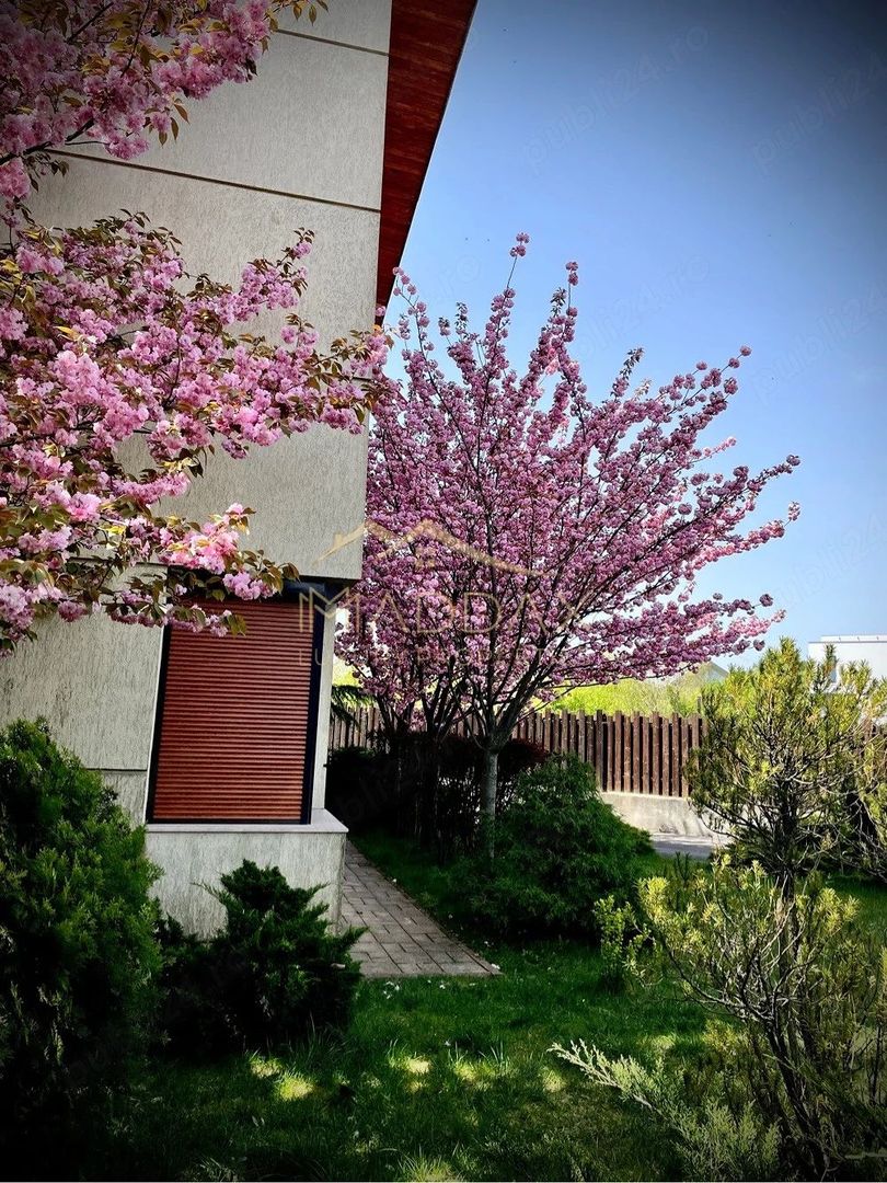 Casa/ Vila Duplex P+1+M zona Sisesti/ Baneasa - Poză 1