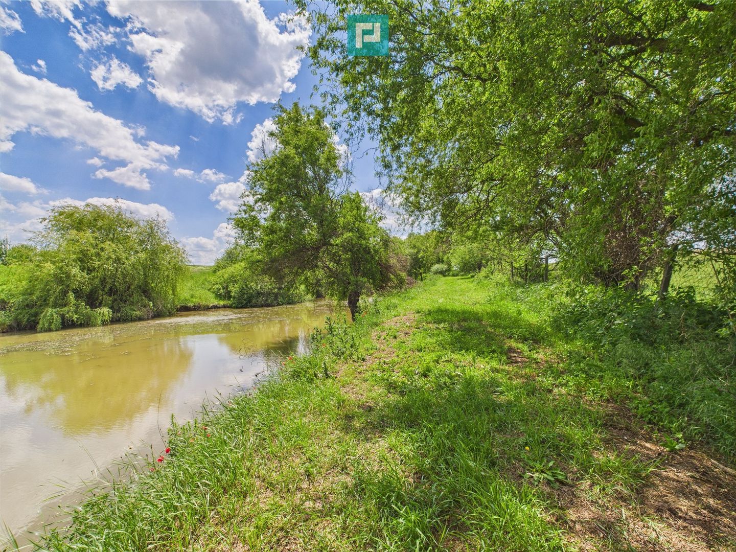 Teren cu baltă- oportunități multiple la Fibiș - Poză 40