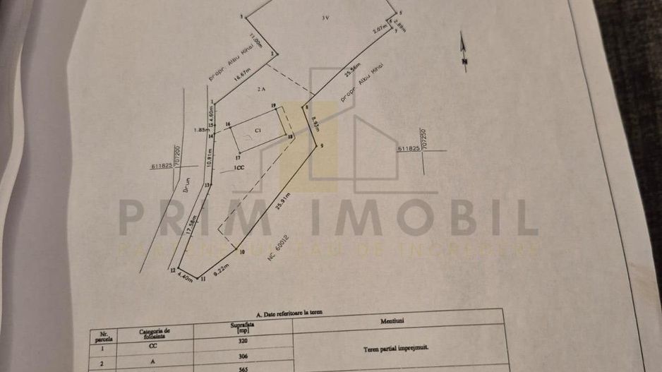 Teren intravilan Dobrovat + Casa Batraneasca - Poză 8