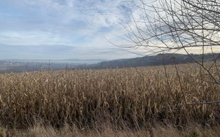 Teren intravilan de vânzare | Cajvana | 7.800 mp - Poză 7