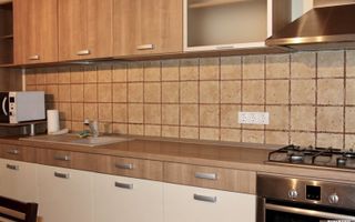 Casa de inchiriat in zona Lipovei - Pomiculturii. Curte comuna, ctr. Anaf. - Poză 5