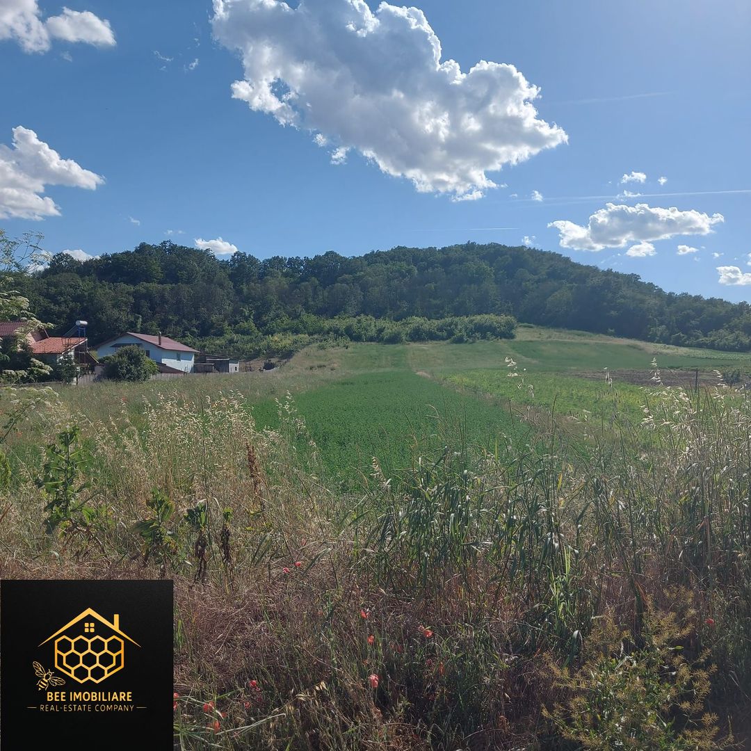 2 parcele teren intravilan, 1200 mp - Mihaita - Cotofenii din Dos - Poză 3
