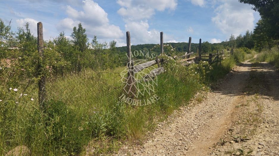 Teren 40.000 mp-ideal investitie-Slatinita - Poză 3