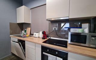 Apartament pet friendly cu 2 camere - acces gratuit in sala de fitness - Cetatii - Poză 10