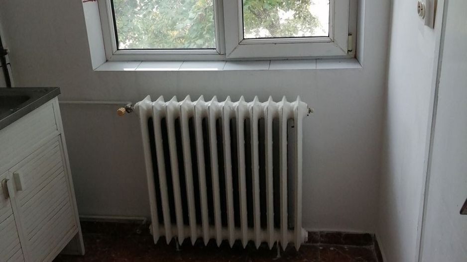 Apartament 3 camere  Sagului  - Doina - Poză 11