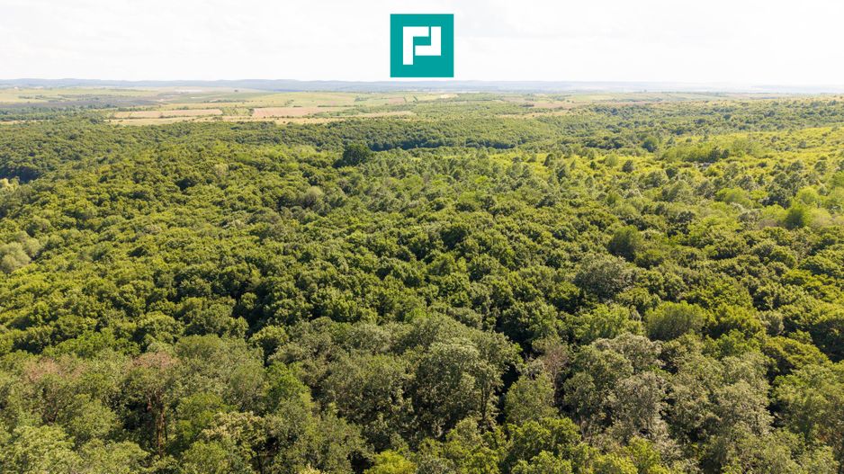 TEREN AGRICOL EXTRAVILAN  22.900 MP LIPOVA - Poză 5