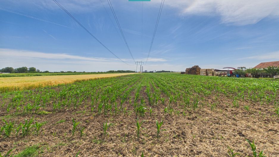 Teren extravilan 5000 mp, Arad - Poză 1