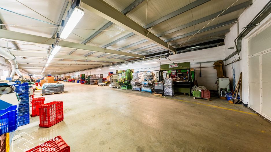 Hala industriala, Pecica, județul Arad - Poză 38