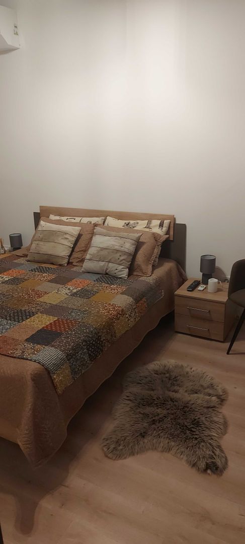 Giroc-Eso | 1 Camera | Mobilat si Utilat - Poză 3