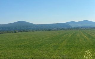 Teren 13400mp la DN 17-parcelabil Podirei - Poză 3