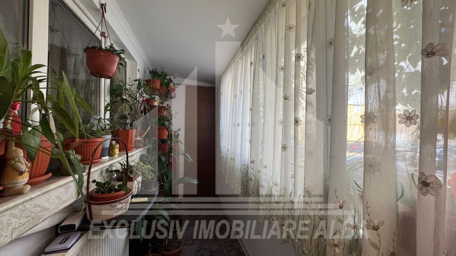 Apartament 2 camere de vanzare, Cetate - Poză 5
