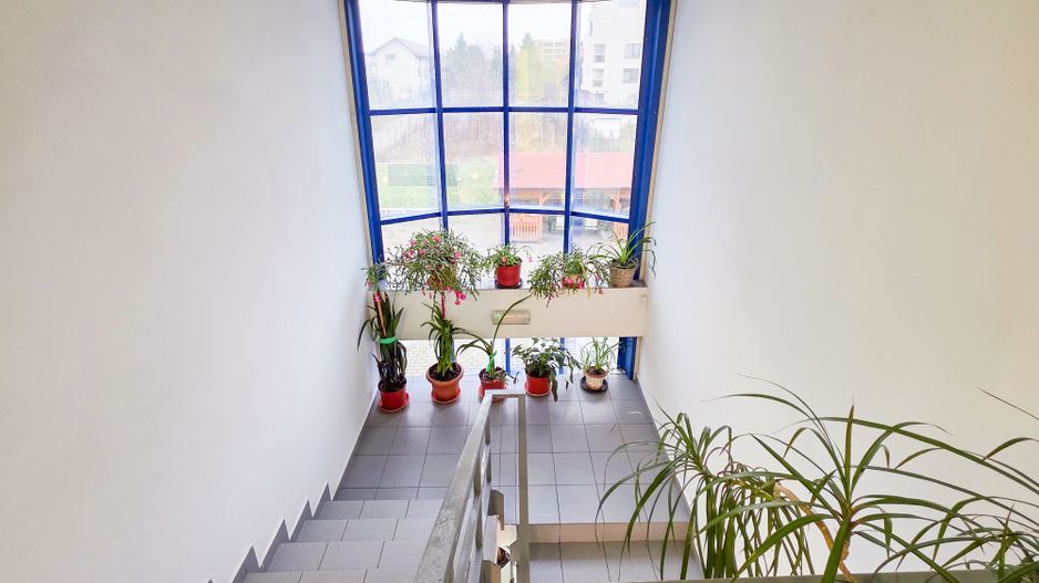 Spațiu industrial–afacere catering la cheie, teren&hală 750 mp S+P+1E - Poză 9