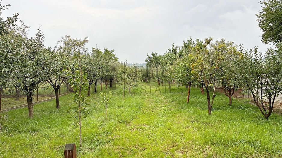 Casa noua cu livada de vanzare in Betfia, Bihor - Poză 4