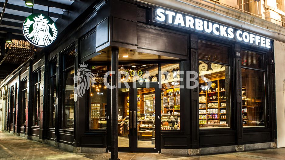 Vila individuala D+P+1+M 380mp utili - Poză 10