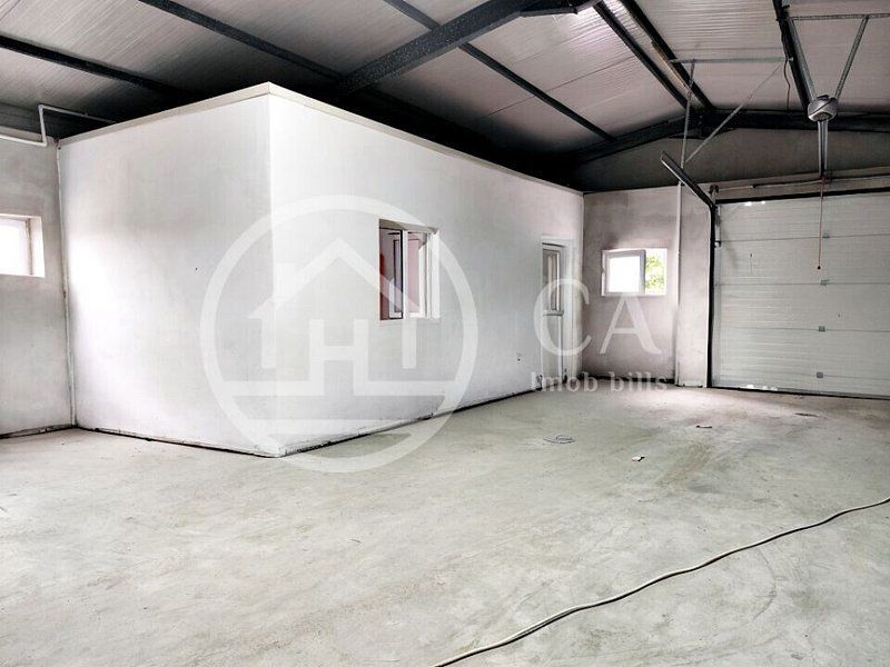 Hala de inchiriat, situata in Santaul Mic, Bihor - Poză 6