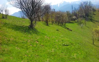 teren intravilan in zona Magura Bran - Poză 26