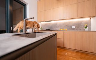 Vila 6 camere / Townhouse Avalon Estate - Poză 20