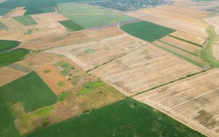 Teren arabil de 40 hectare în Zarand - Poză 3