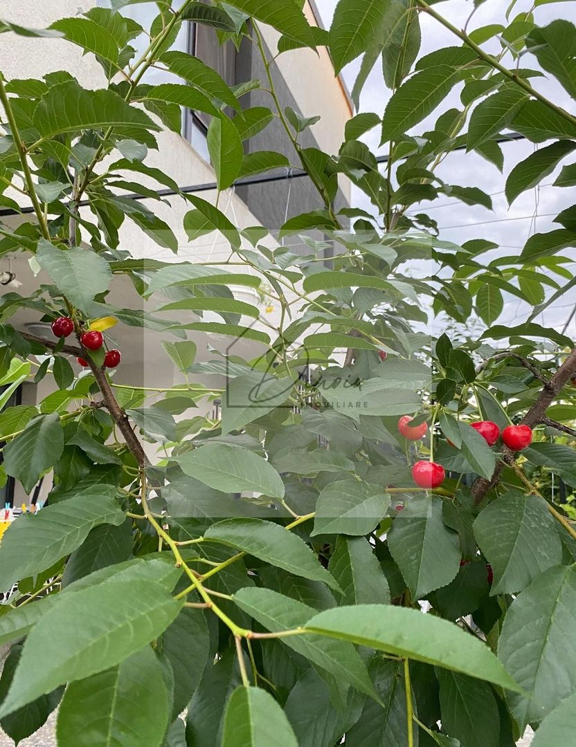 Vila de vanzare in Tunari I Gata de mutat I 4 camere I 5 parcari - Poză 49