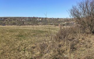 Teren | Intravilan | 400 MPU | Daia - Poză 3