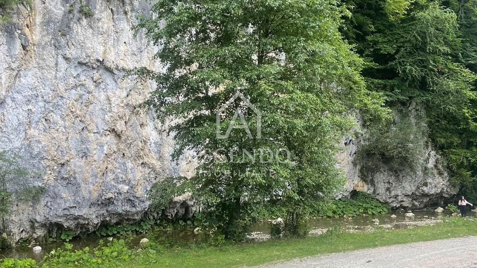 Teren pentru investiție turistică în Dâmbovicioara – Baranga | 4.500 mp | Front ~102 ml - Poză 15