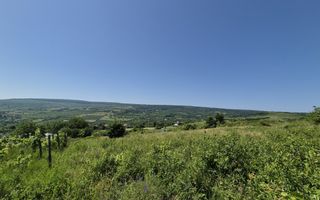 Teren intravilan de vânzare în Tomesti-Goruni – parcele de 700 mp și 3000 mp - Poză 1
