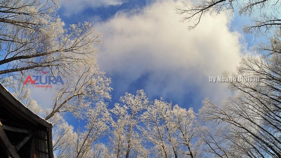 COMISION 0% -Casa deosebita Ciocanai - Poză 42