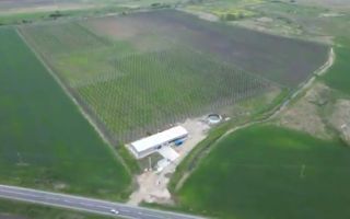 De Vânzare Afacere La Cheie ( ARAD) - Poză 2