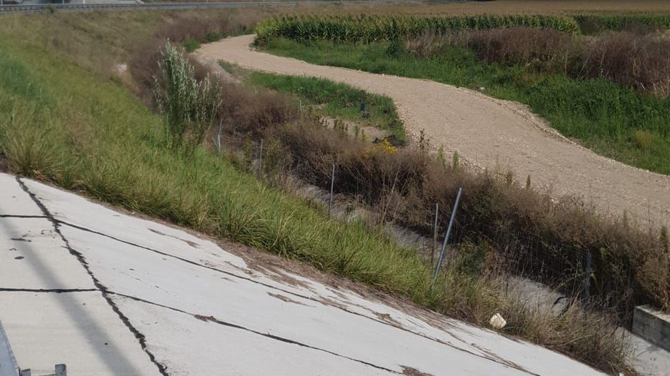 Investitie teren Proiect Spatiu Industrial - Autostrada Tg Mures - Poză 5