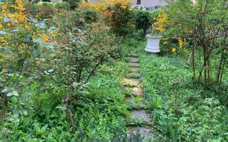 Apartament zona TITAN - Închiriere - Poză 2